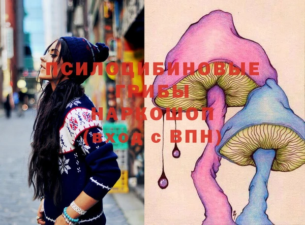 ECSTASY Баксан