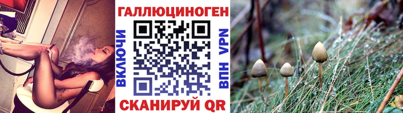 Псилоцибиновые грибы Magic Shrooms  Нефтегорск 